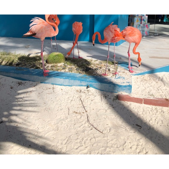 ALL PRICES ARE NEGOTIABLE - Picture 2 of 13